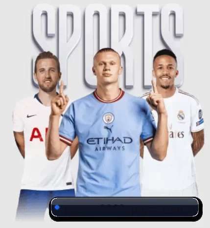 soccer-8868sports.com.cn的方向（8868tiyu）